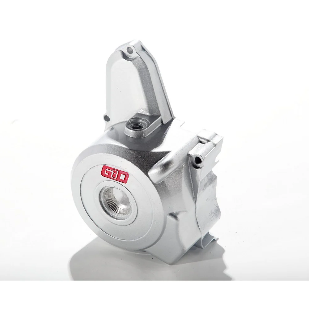 G1010061
