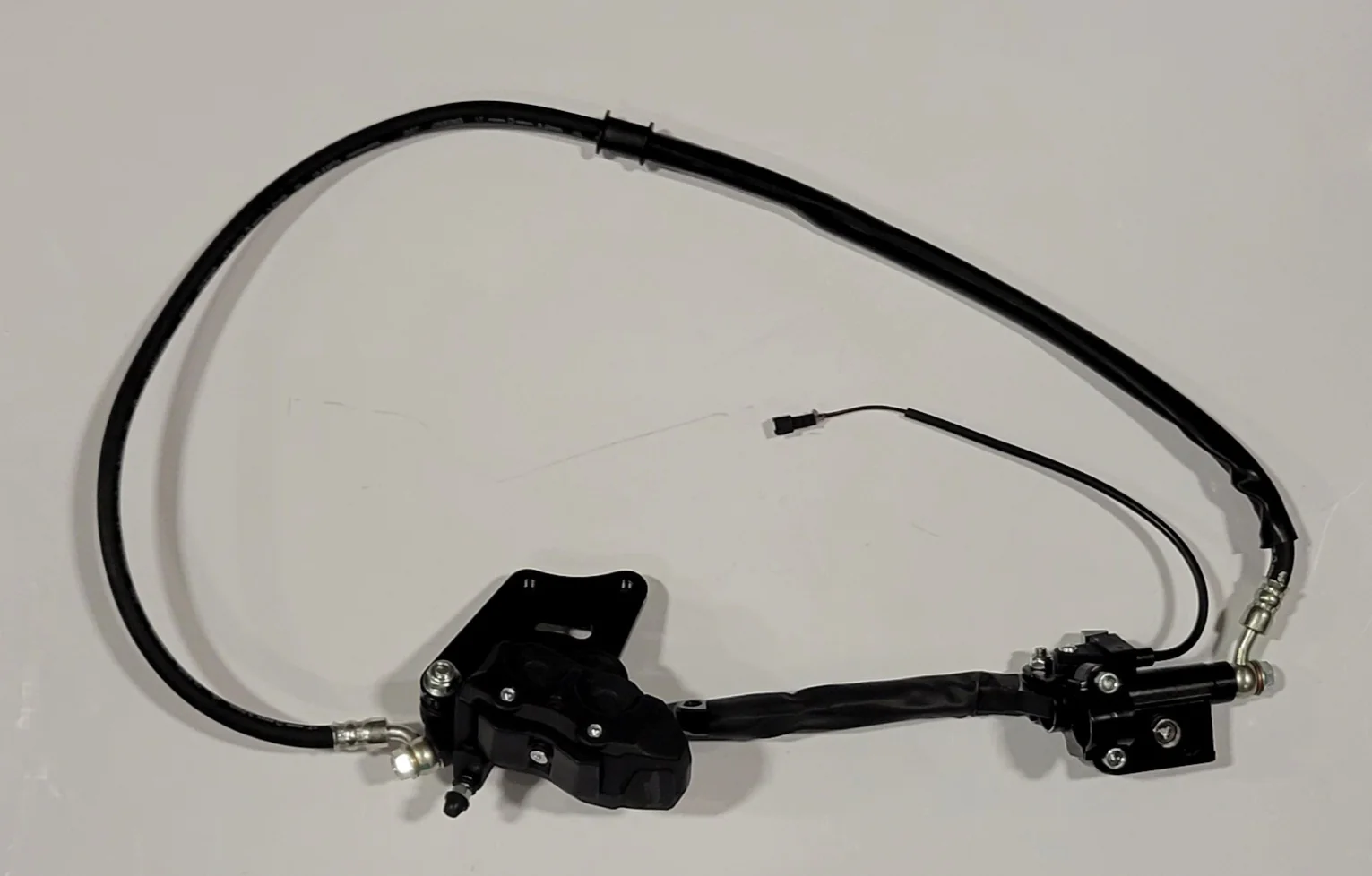 POE21-K1231