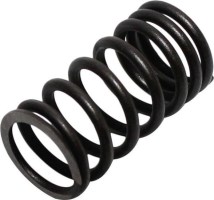 Valve Spring - Exhaust, 200cc, 250cc - 20A2126 - PBC1800F1
