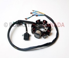 Stator Generator for 250cc, X31, Dirt Bike  4 Stroke - G2080126