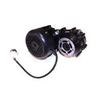Regal Motor - PBC1334XL